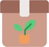 Ultimate Checklist for Relocating with Houseplants