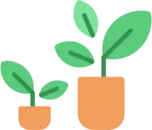 Ultimate Checklist for Relocating with Houseplants