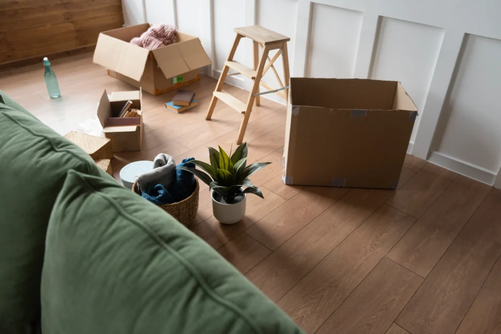 Ultimate Checklist for Relocating with Houseplants